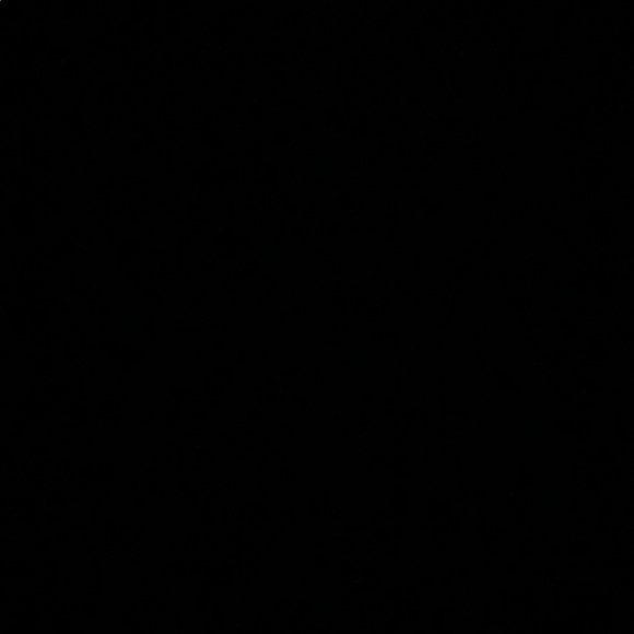 Meet your Posher, Patricia - Picture 1 of 1